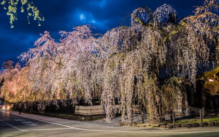 日本東北景點：秋田景點推薦角館武家屋敷